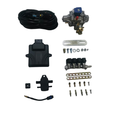 CNG Mini Conversie Kits Met 48 Pin ECU 4 Cilinder Injector Rail Voor CNG GNV Auto's