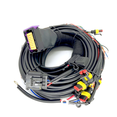 CNG-Opeenvolgende Injectie 24 van LPG Pin Car Wiring Harness For 4 Cilinderecu