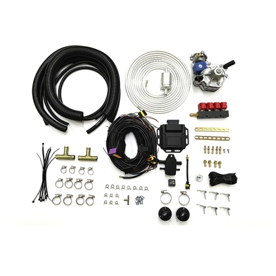 Benzine aan Vloeibare de Omzettingsuitrustingen 4 Cilinder EFI Conversion Kit van Petroleumgas Autocng LPG