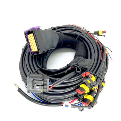 kopen CNG-Opeenvolgende Injectie 24 van LPG Pin Car Wiring Harness For 4 Cilinderecu online manufacture