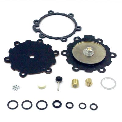 kopen De plastic CNG-Drukregelaar van Kit For AT12 Autogas van de Reductiemiddelenreparatie online manufacture