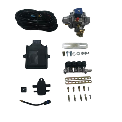 CNG Mini Conversie Kits Met 48 Pin ECU 4 Cilinder Injector Rail Voor CNG GNV Auto's