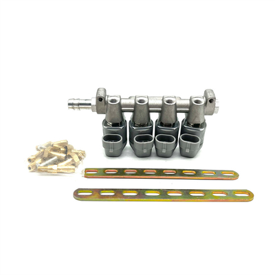De Brandstofinjectiesysteem van LPG CNG 2 Ohm of 3 Ohm Grey Injector Rail voor Autogas