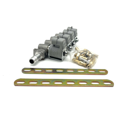 De Brandstofinjectiesysteem van LPG CNG 2 Ohm of 3 Ohm Grey Injector Rail voor Autogas