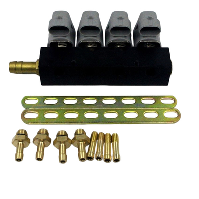 Grey Injector Rail ln-LIG1S voor 167HZ het Opeenvolgende Systeem van 2 Ohmlpg CNG