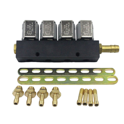 Grey Injector Rail ln-LIG1S voor 167HZ het Opeenvolgende Systeem van 2 Ohmlpg CNG