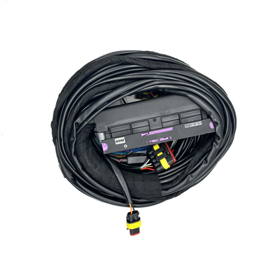 Autoverbinding voor auto's Meerdere connectoren Type voor optimale 12V-prestaties