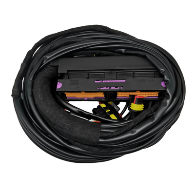 Autoverbinding voor auto's Meerdere connectoren Type voor optimale 12V-prestaties