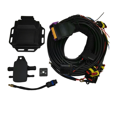 12V 4-cilinder CNG/LPG-ECU voor meerpunts brandstofinspuiting