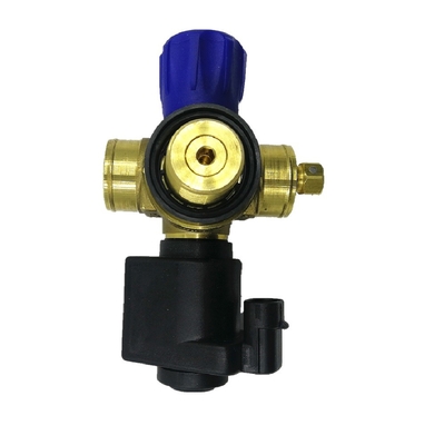 Van de de Klepauto van de solenoïdecng Cilinder het Gasklep DC12V voor het Autosysteem van de Gasbrandstof