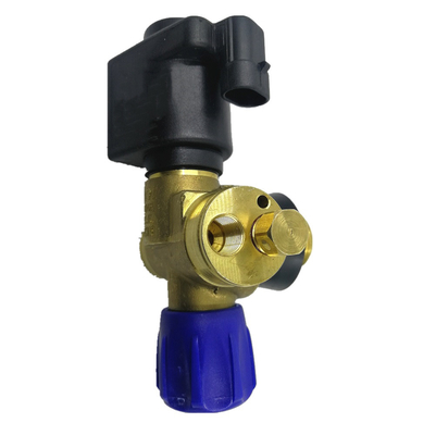 Van de de Klepauto van de solenoïdecng Cilinder het Gasklep DC12V voor het Autosysteem van de Gasbrandstof