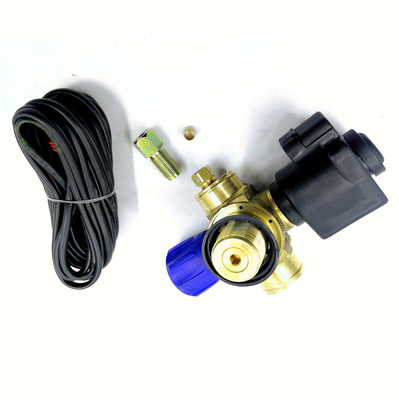 Van de de Klepauto van de solenoïdecng Cilinder het Gasklep DC12V voor het Autosysteem van de Gasbrandstof