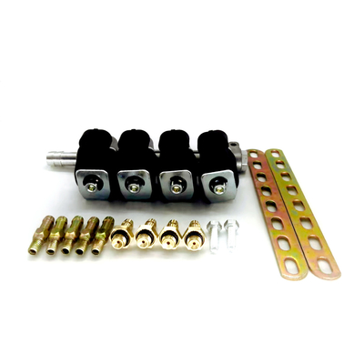 Ln-LIG1 de Injecteursspoor van LPG CNG voor Cilinder 4 2 Ohm of 3 Ohms Zwarte GPL GNV Spoorinjecteurs