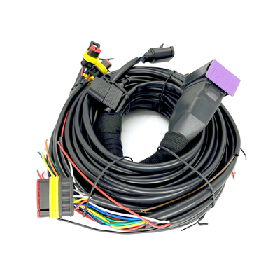 CNG-Opeenvolgende Injectie 24 van LPG Pin Car Wiring Harness For 4 Cilinderecu