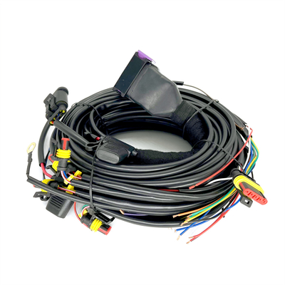 CNG-Opeenvolgende Injectie 24 van LPG Pin Car Wiring Harness For 4 Cilinderecu