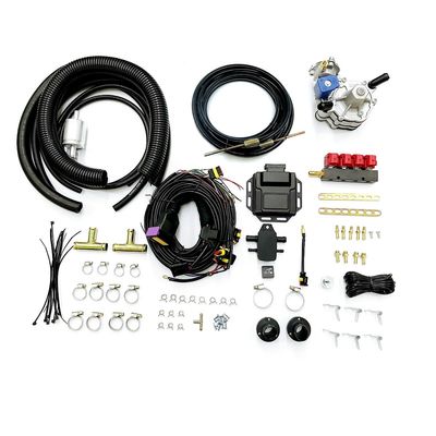 Good price Autobenzine met vier cilinders aan LPG-Omzetting Kit For Sequential Injection System online